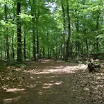 48, Holiday Inn Oisterwijk # Hygiene #Airport Eindhoven #Airco #Bosrijk #Hiking & Biking #Efteling #Safaripark * Oisterwijk