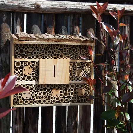 48 # Hygiene # Airport Eindhoven # Airco # Bosrijk # Hiking & Biking # Efteling # Safaripark *