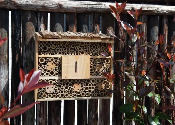 48 # Hygiene # Airport Eindhoven # Airco # Bosrijk # Hiking & Biking # Efteling # Safaripark *