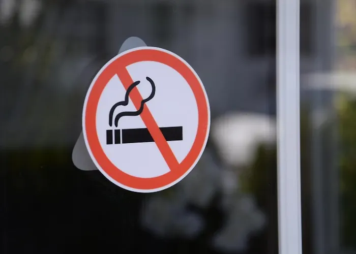 48 # Hygiene # Airport Eindhoven # Airco # Bosrijk # Hiking & Biking # Efteling # Safaripark Apartamento