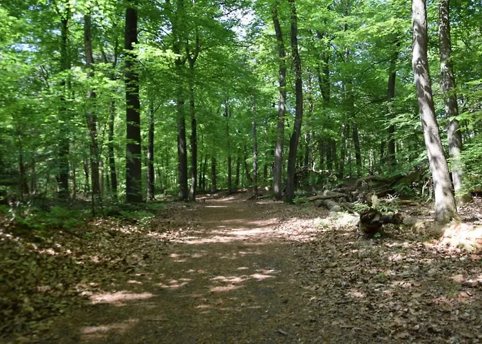 48 # Hygiene # Airport Eindhoven # Airco # Bosrijk # Hiking & Biking # Efteling # Safaripark * Oisterwijk